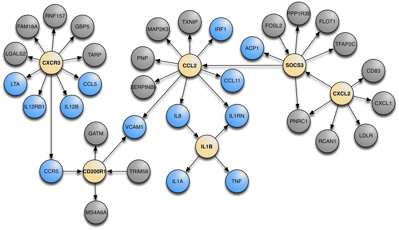 The meta-analysis Bayesian network with the top 6 KDA genes and their nearest neighbors.