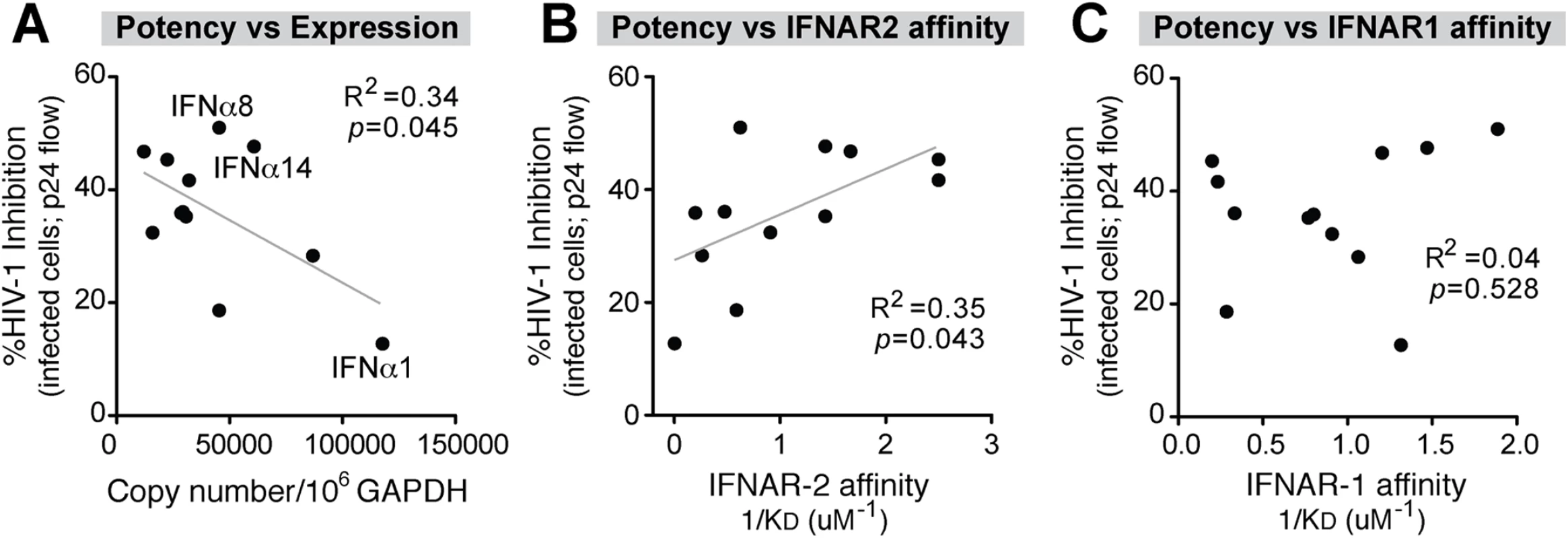 Correlation between IFNα antiviral potency and various parameters.