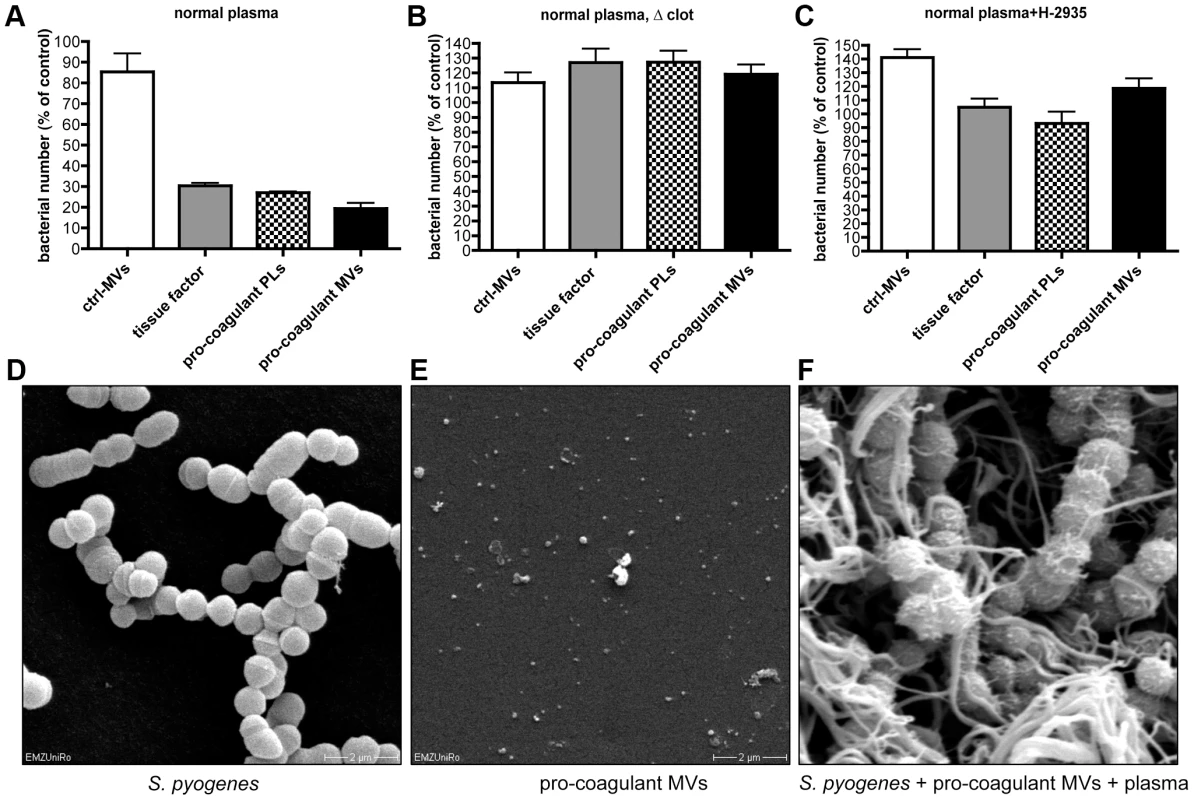 Determination of the antimicrobial activity of plasma clots induced by pro-coagulant MVs.
