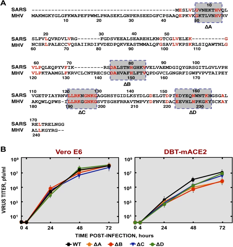 Generation and growth kinetics of SARS-CoVs lacking small regions within the nsp1 protein.
