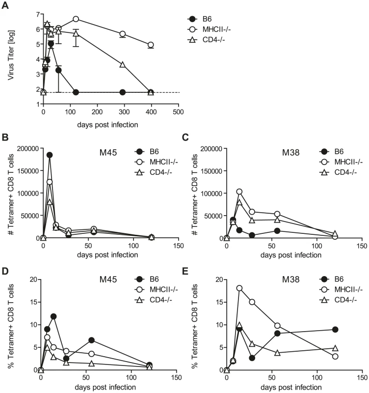 Helper functions exerted by CD4 T cells are dispensable for MCMV control.