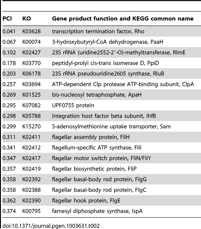 Putative Hsp90A clients among 327 &lt;i&gt;hsp90A&lt;/i&gt;-associated genes.