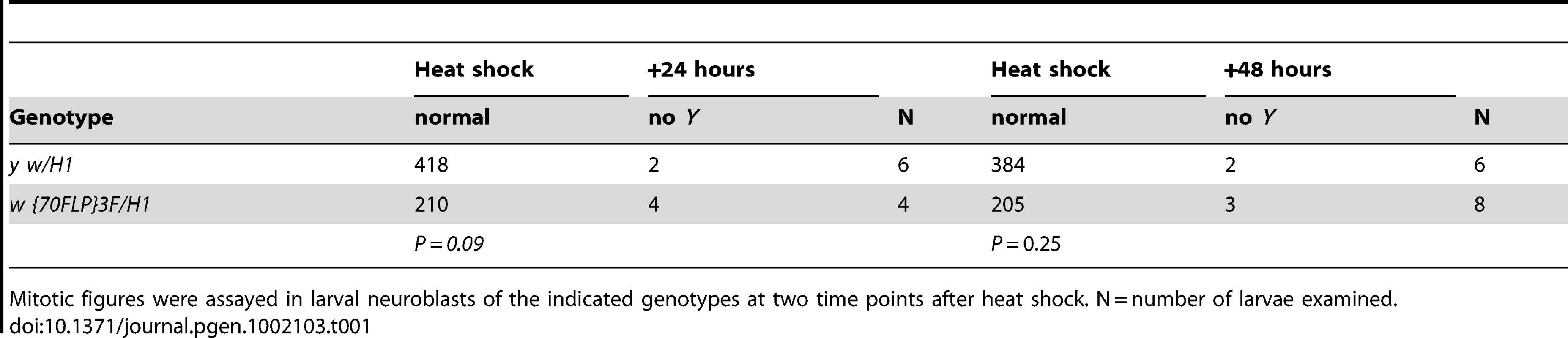 Assay for <i>Y</i> chromosome loss after dicentric induction.