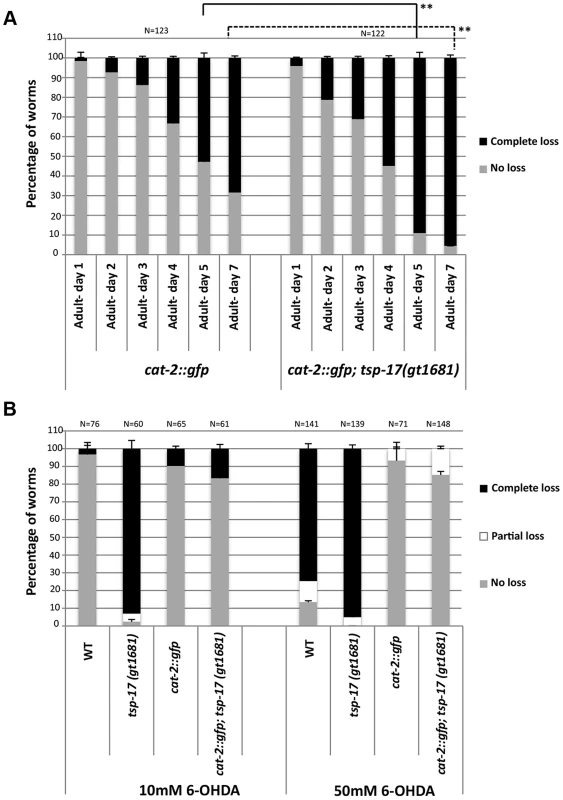 <i>tsp-17 (gt1681)</i> enhances the neurodegeneration phenotype of <i>cat-2</i>-overexpressing lines, and <i>cat-2</i> overexpression protects against 6-OHDA toxicity.