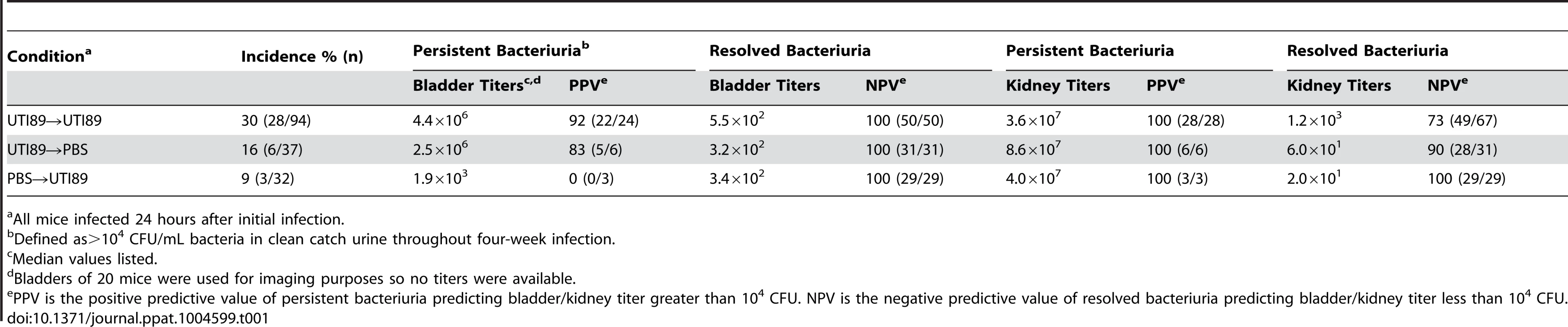 Characteristics of C57BL/6J superinfections.
