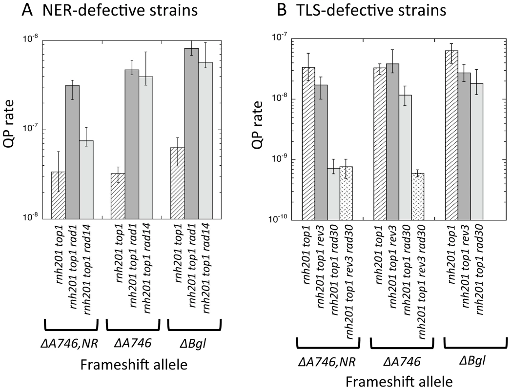Rates of QP mutations and tandem-repeat deletions at hotspots in NER- or TLS-defective strains.