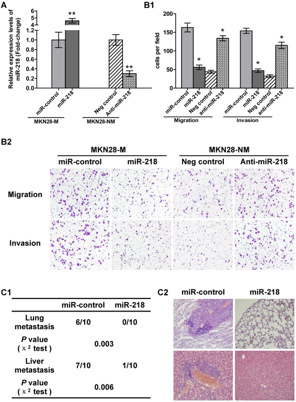 miR-218 suppressed tumor cell invasion and metastasis.