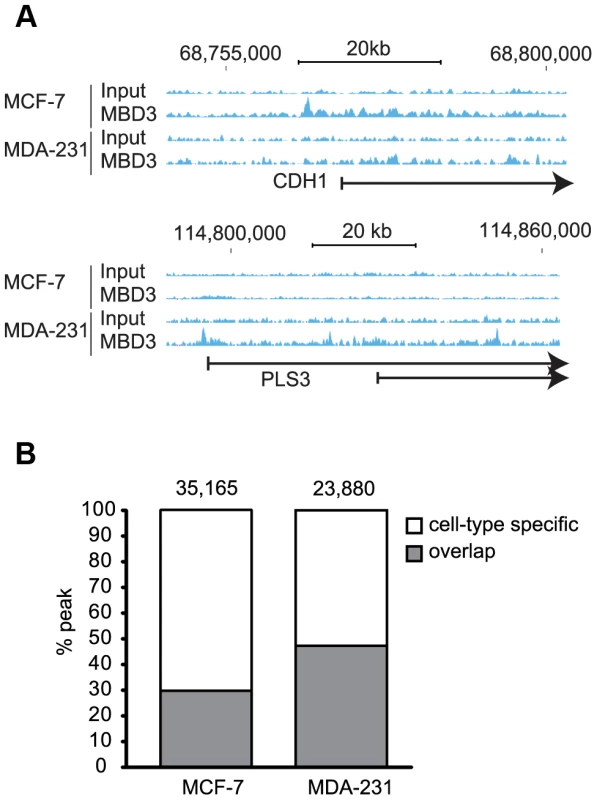 MBD3 localizes in a cell-type specific manner by ChIP-seq.