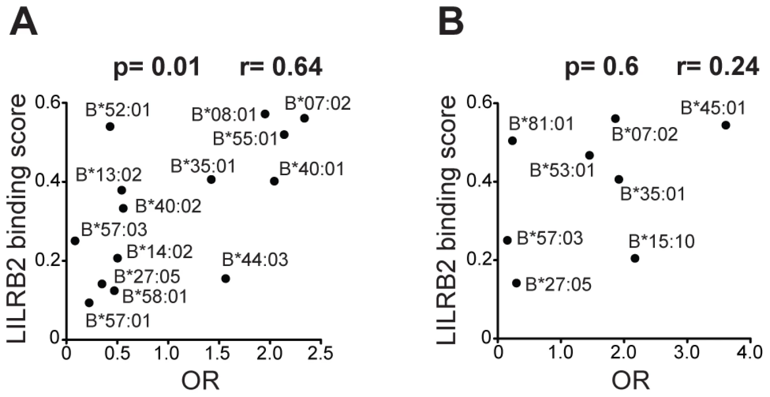 LILRB2 binding strength and odds ratios for viral load control for individual <i>HLA-B</i> alleles.