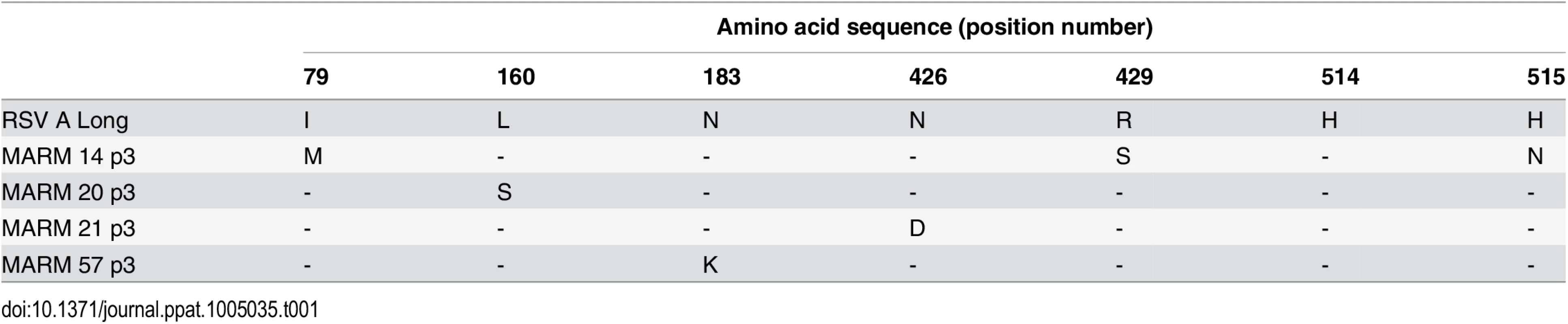 Amino acid changes in F protein of AM14 MARMs.