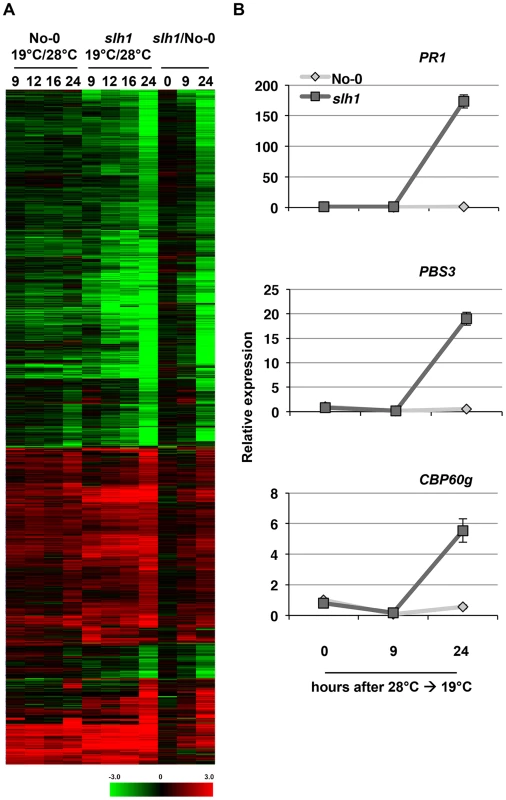 Low temperature-dependent transcription profiling of the <i>slh1</i> mutant.
