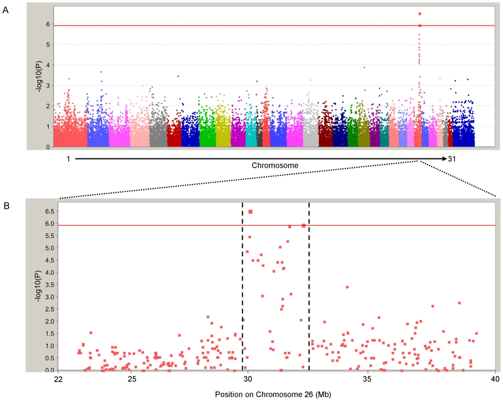 Identification of locus responsible for FIS by genome-wide association scan.