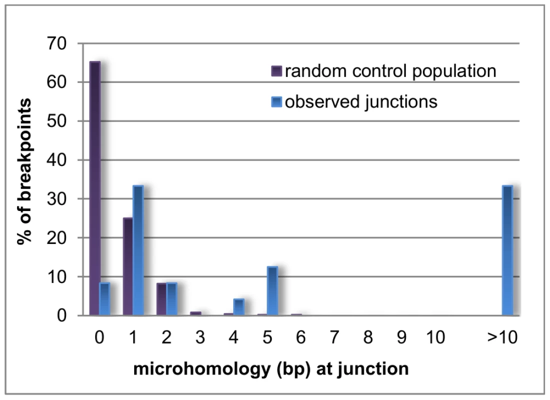 Distribution pattern of microhomology.