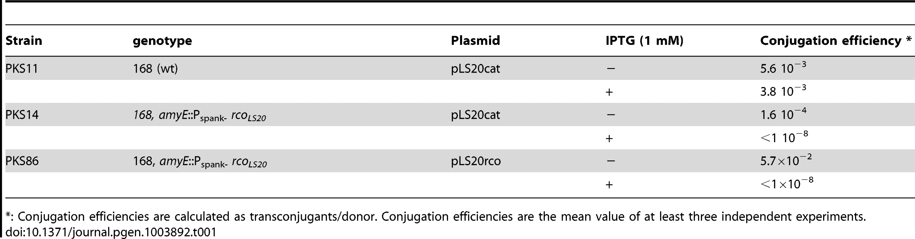 pLS20 gene 27c (<i>rco<sub>LS20</sub></i>) encodes a repressor of conjugation.