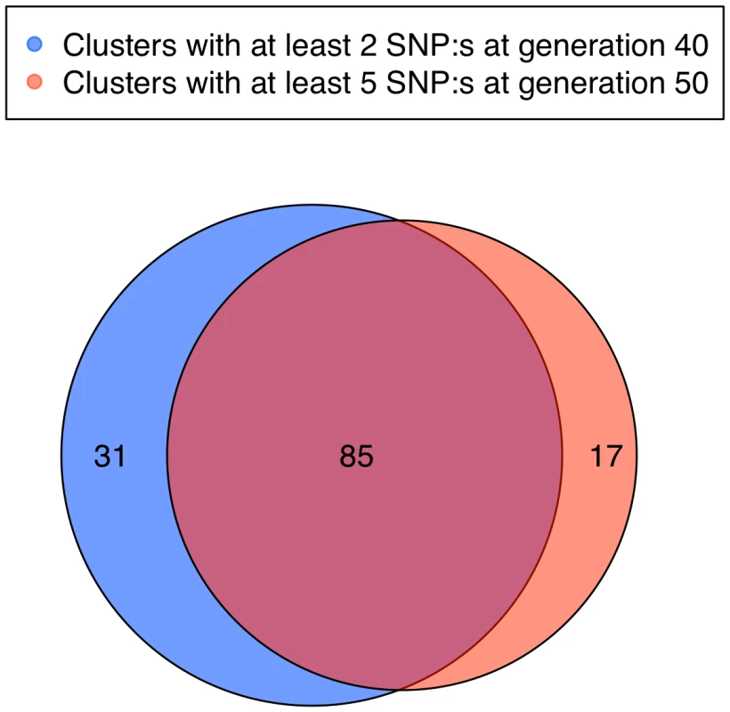 Clusters of SNPs fixed for different alleles in the two lines.