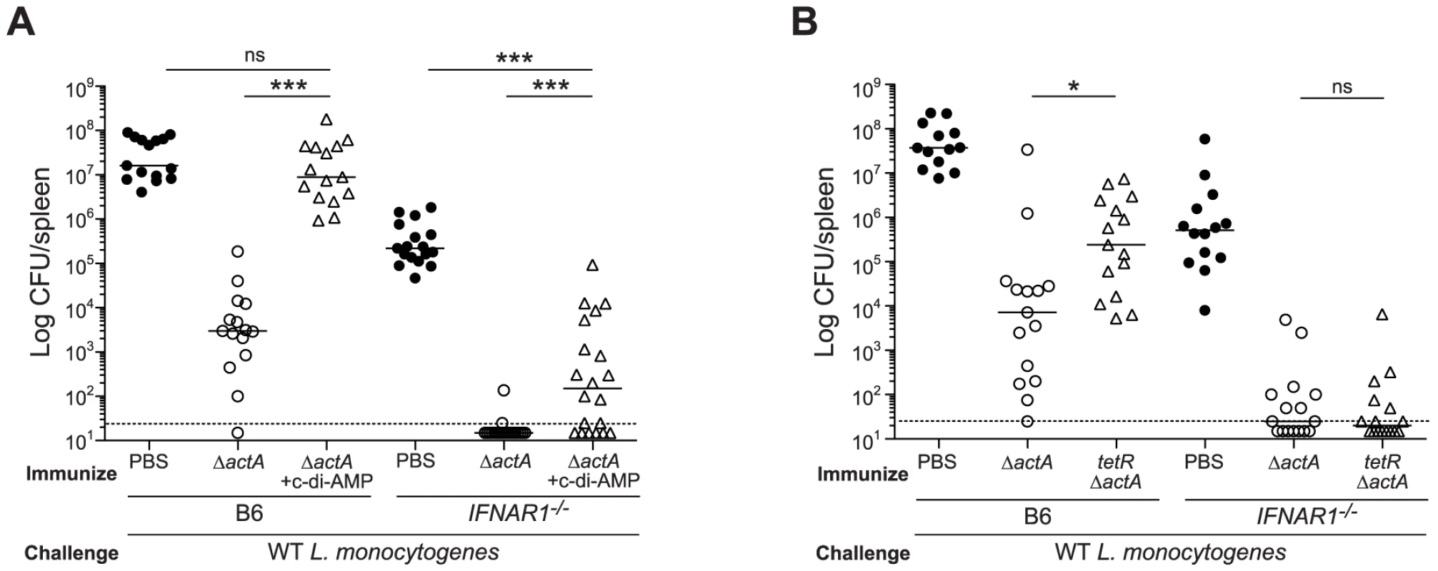 Mice lacking type I IFNs are partially rescued from c-di-AMP-mediated immune inhibition.