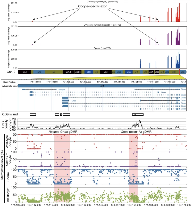 High-resolution genome-wide mRNA expression and CpG methylation profiling.