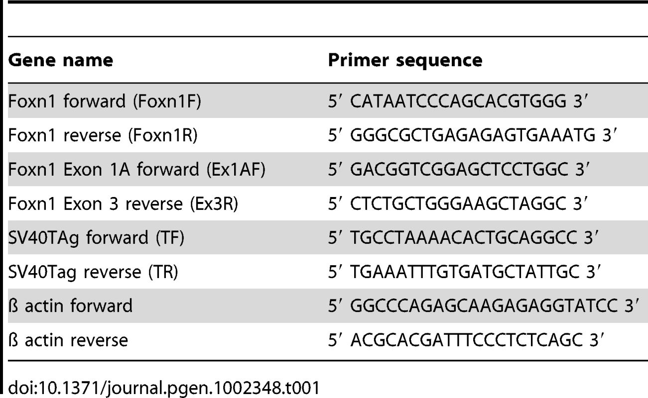 Primer sequences used for conventional PCR.