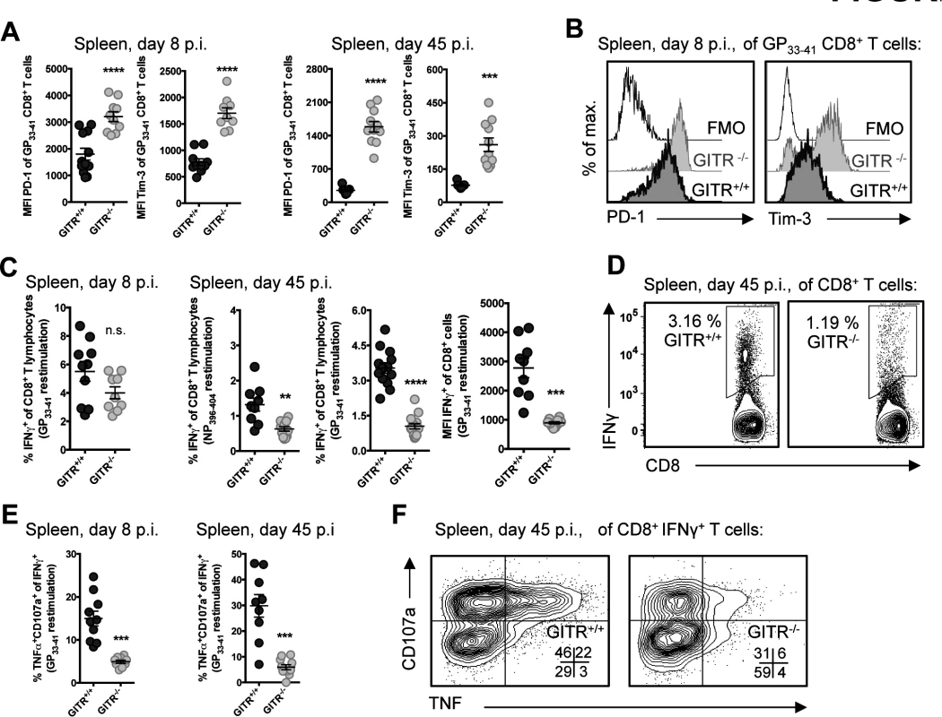 GITR<sup>-/-</sup> LCMV-specific CD8 T cells express higher levels of inhibitory molecules and are more functionally exhausted.