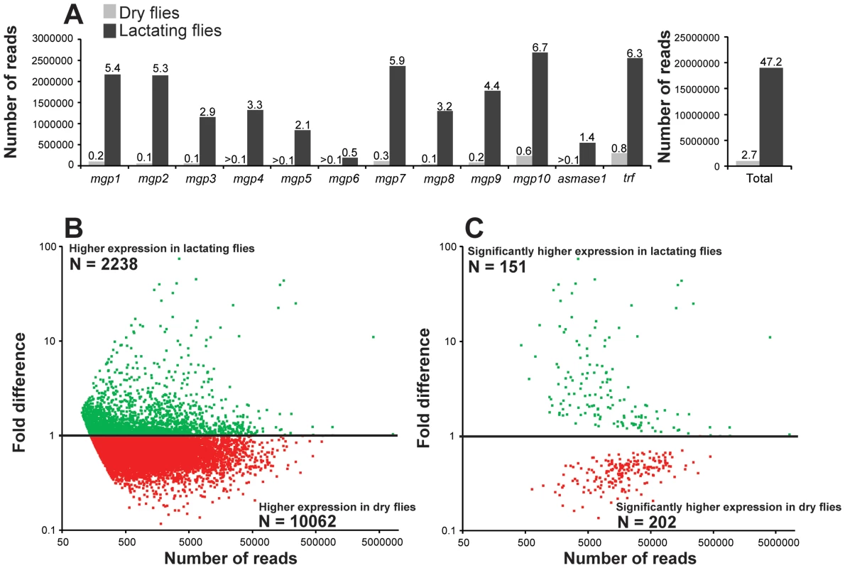 Mapping of reads to lactation-specific genes and fold changes in transcript expression for contigs after removal of lactation-specific genes based on RNA-seq analysis.