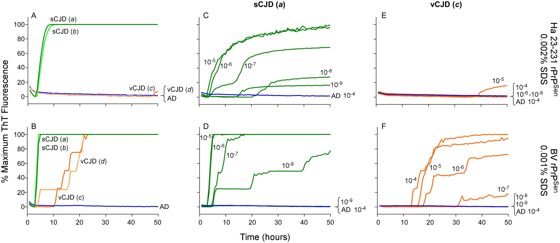 Detection, discrimination and sensitivities for detection of human sCJD and vCJD with hamster 23–231 and BV rPrP<sup>Sen</sup> substrates.