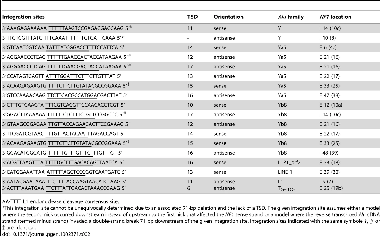 Sequences at the integration sites aligned to the L1 endonuclease cleavage consensus site.