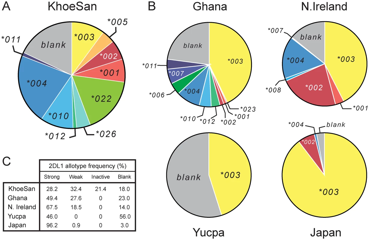 The KhoeSan have high <i>KIR2DL1</i> diversity compared to other human populations.