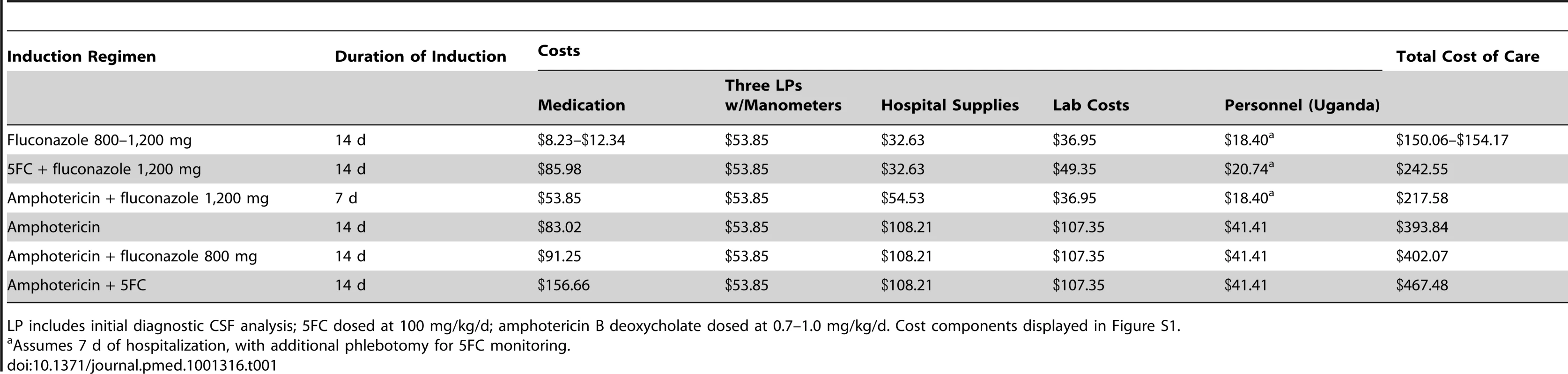 Input costs of cryptococcal meningitis induction therapy and medical care.