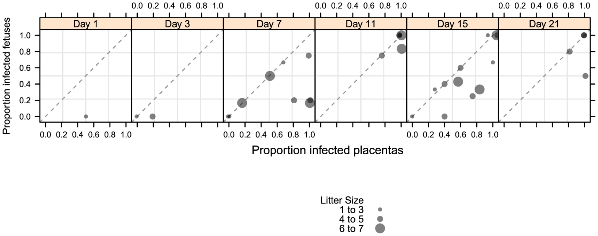 Temporal relationship between placental and fetal infection over 21 days.