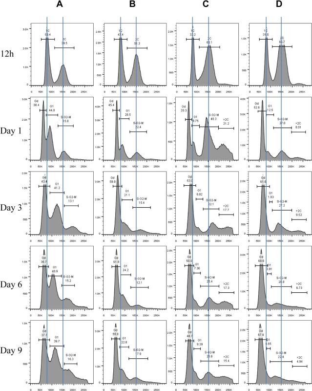 Histograms of Sytox green staining signals in WT (A), <i>rim15∆</i> (B), <i>mck1∆</i> (C), and <i>rim15∆mck1∆</i> (D) cells at the diauxic shift (12h), day 1, day 3, day 6 and day 9.