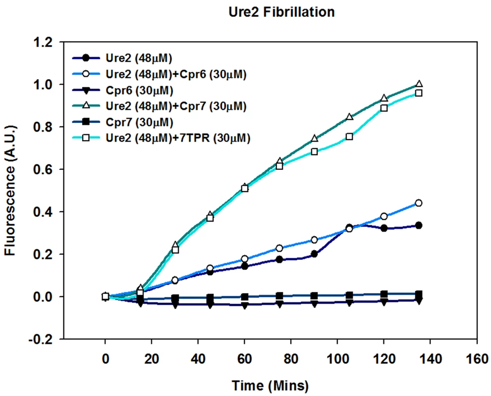 Cpr7 enhances in vitro fibrillization of Ure2.