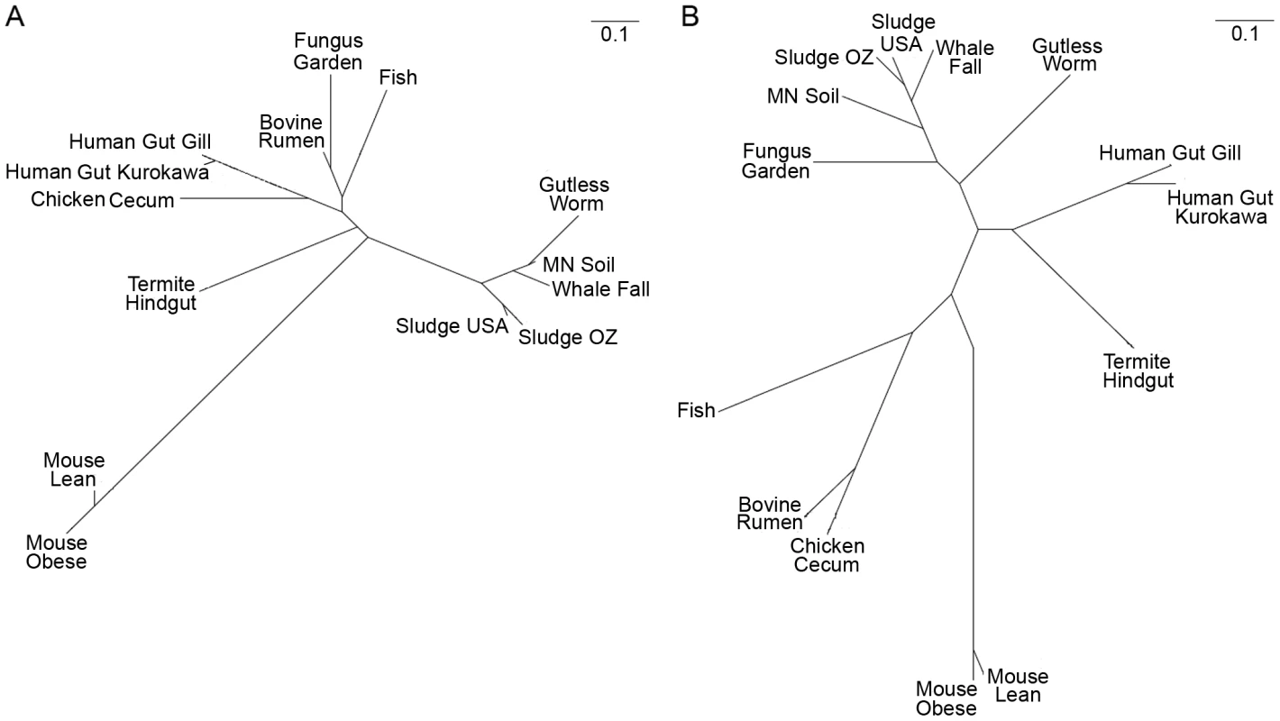 CAZy clustering of the fungus garden metagenome.