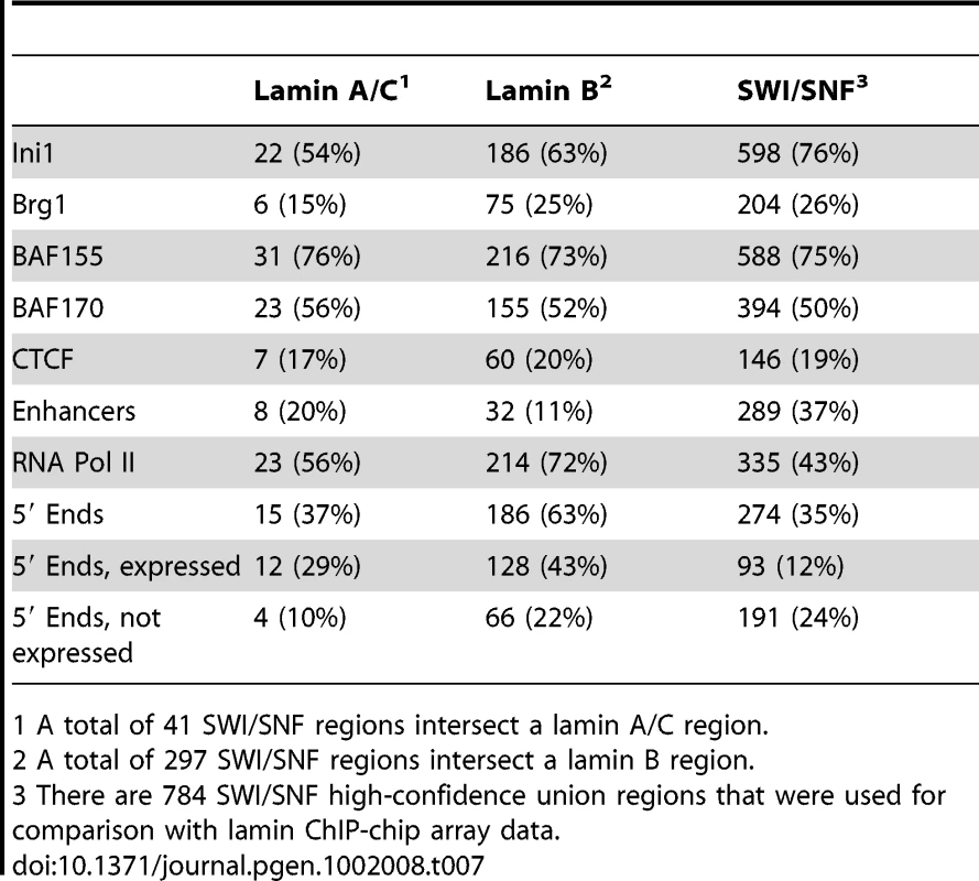 Co-occurrence of SWI/SNF factors and lamins in the ENCODE regions.