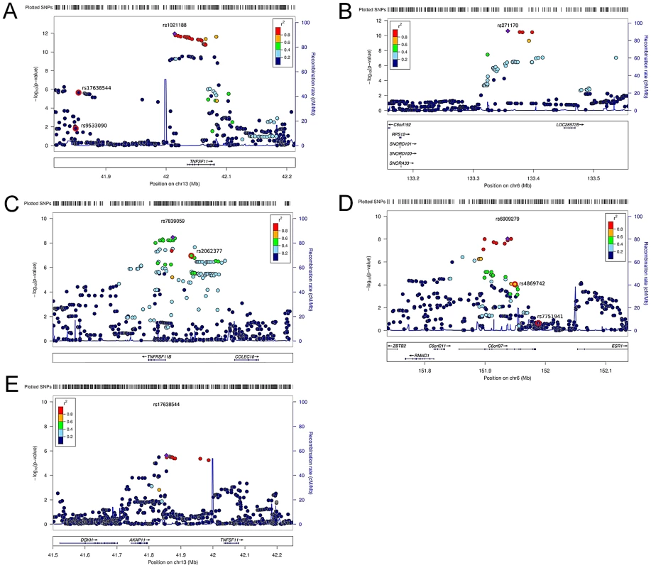 Regional association plots for the 5 independent signals from the discovery genome-wide meta-analysis of cortical vBMD.