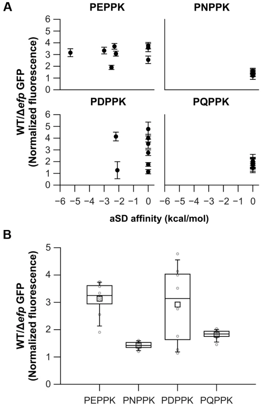 Effects on translation pausing of aSD affinity and the identity of the amino acid preceding PPX.