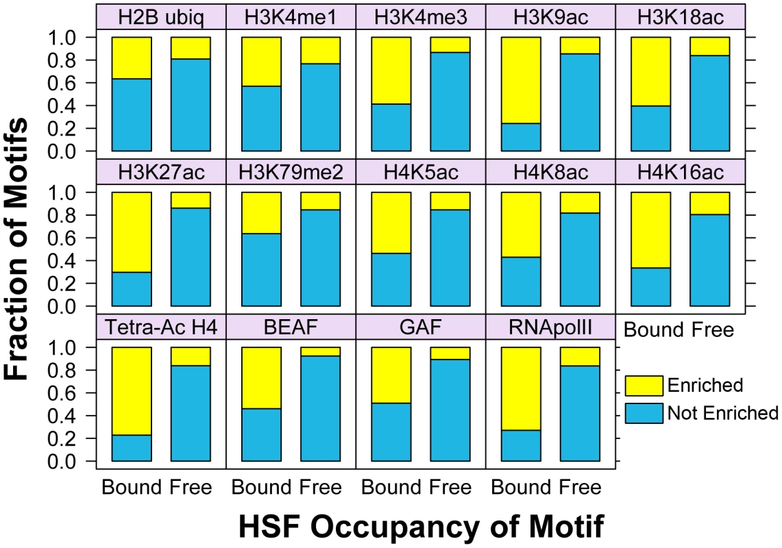Bound HSE motifs are statistically associated with marks of active chromatin, compared to HSF-free motifs.