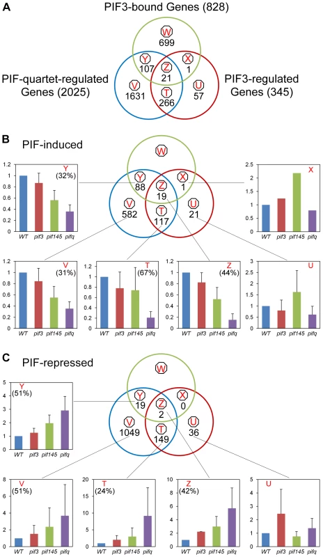 Merging of ChIP–seq and RNA–seq data identifies apparent direct targets of PIF3 transcriptional regulation.