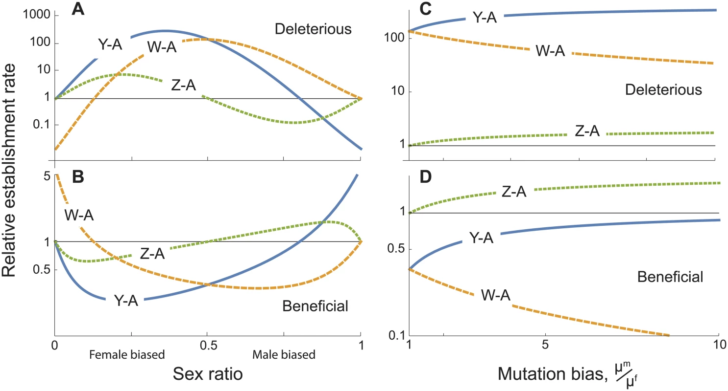 Establishment rates of sex chromosome-autosome fusions under direct selection, relative to the rate for X-A fusions.