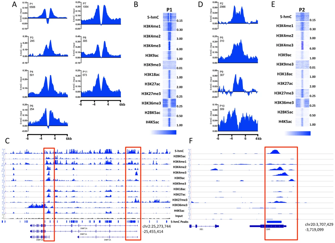 5-hmC marks distinct subtypes of promoters in human H1 ES cells.