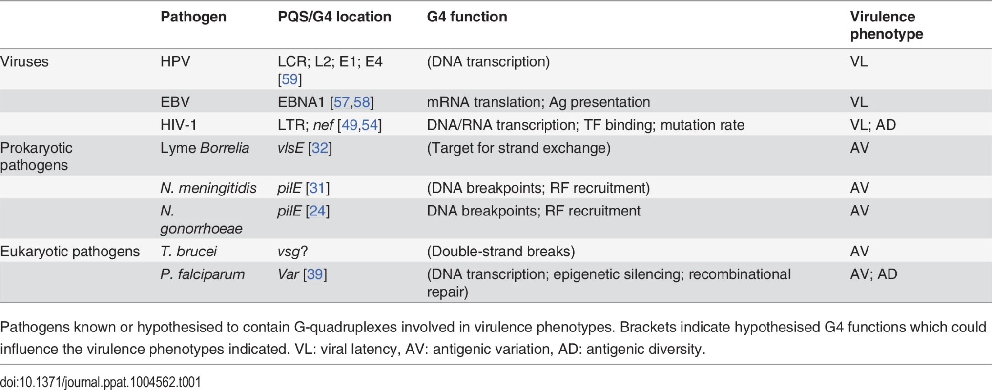 G-quadruplexes in pathogens.