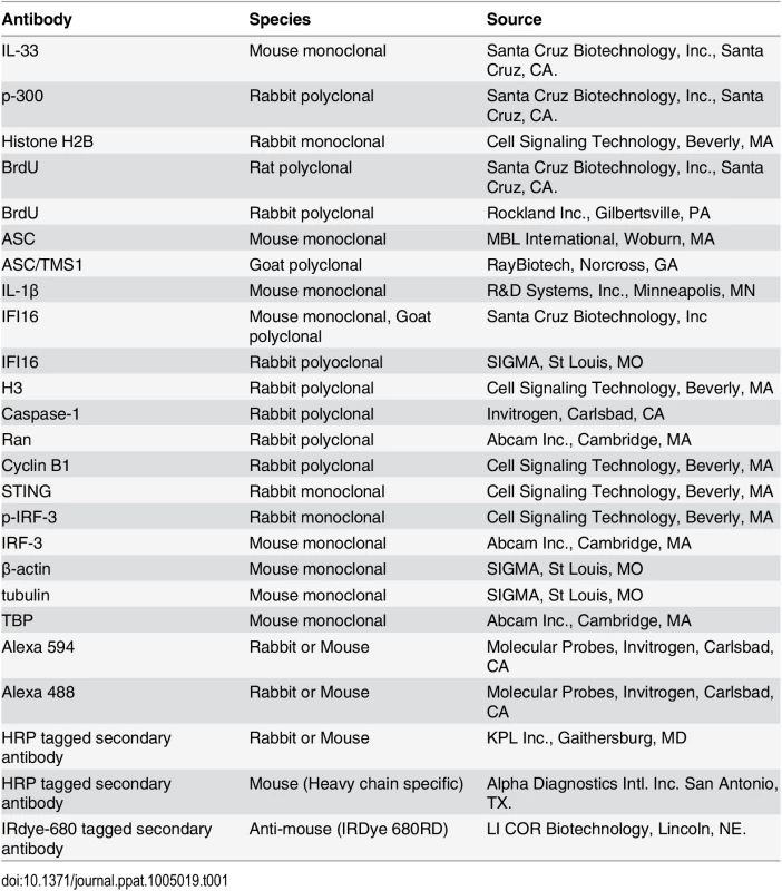 List of antibodies used in this study.