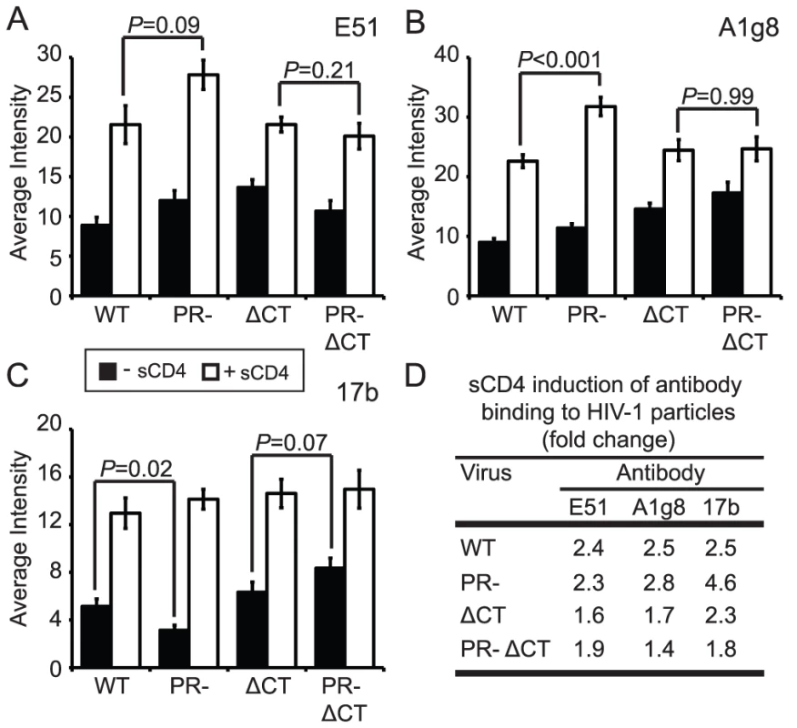 Analysis of sCD4-induced conformational changes on HIV-1 virions.