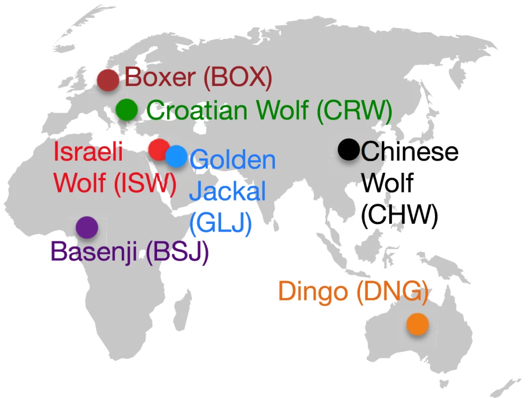 Geographic distribution of sampled lineages.
