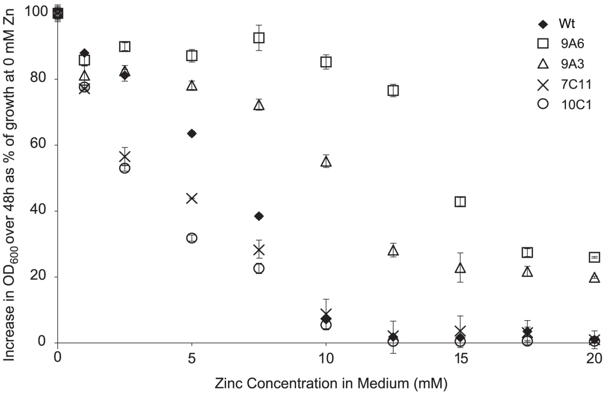 Zinc tolerance of <i>P. syringae</i> pv. maculicola M4 and four mutants.