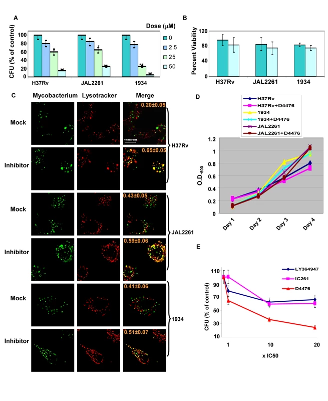 Dual inhibition of TGFβR1 and Casein kinase eliminates Mtb from infected cells.