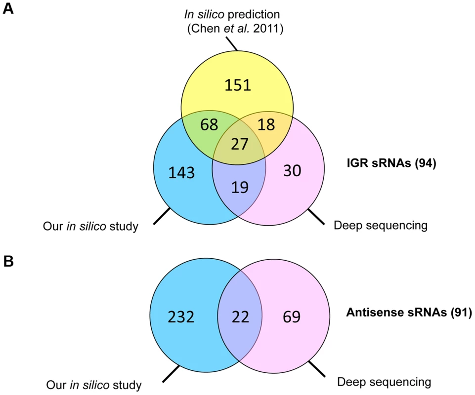 Comparative analysis of sRNAs identified in this study by comparative genomics and bioinformatics and by deep sequencing with those predicted in IGR in previously published study.