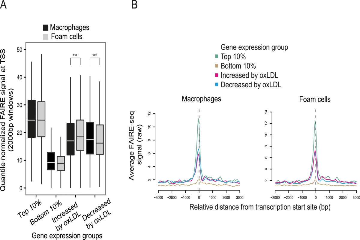 OxLDL-induced changes in chromatin structure determined by FAIRE-seq.