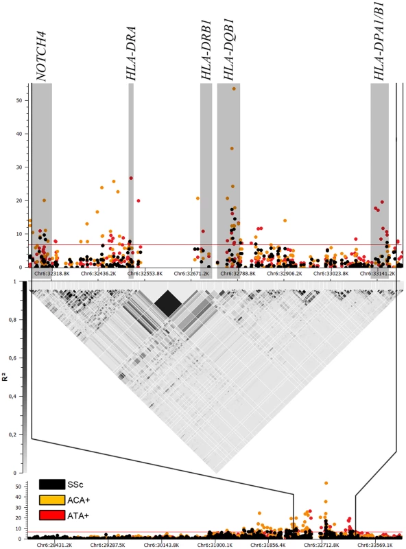 Manhattan plot showing the -log10 of the Mantel-Haenszel <i>P</i> value of all 1,112 SNPs in HLA region for the GWAS cohorts comprising 2,296 cases and 5,171 controls.