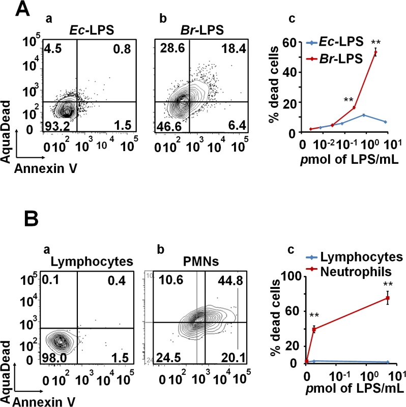 <i>Br-</i>LPS induces cell death of PMN in a dose dependent manner.