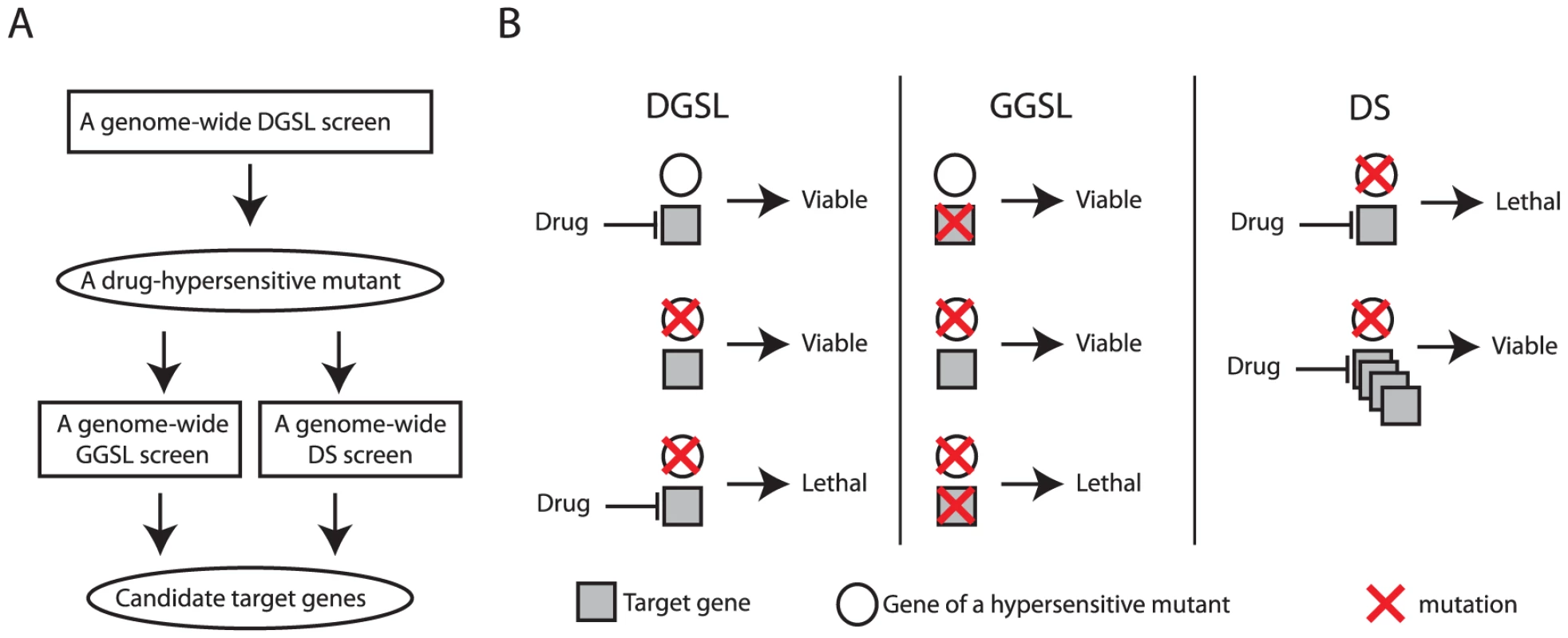 A diagram and concept of discovering drug target using the SL/DS strategy.